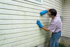 Best Siding Painting and Refinishing  in Tresckow, PA